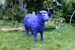 Das-blaue-Schaf