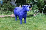Das blaue Schaf