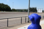 Uwe-auf-dem-Sportplatz-2