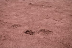 Wupperorte Sportplatz auf der Brede